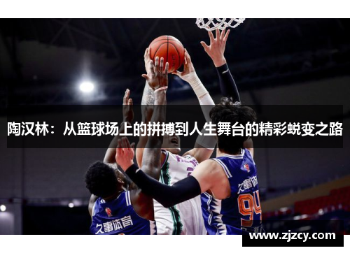 陶汉林：从篮球场上的拼搏到人生舞台的精彩蜕变之路
